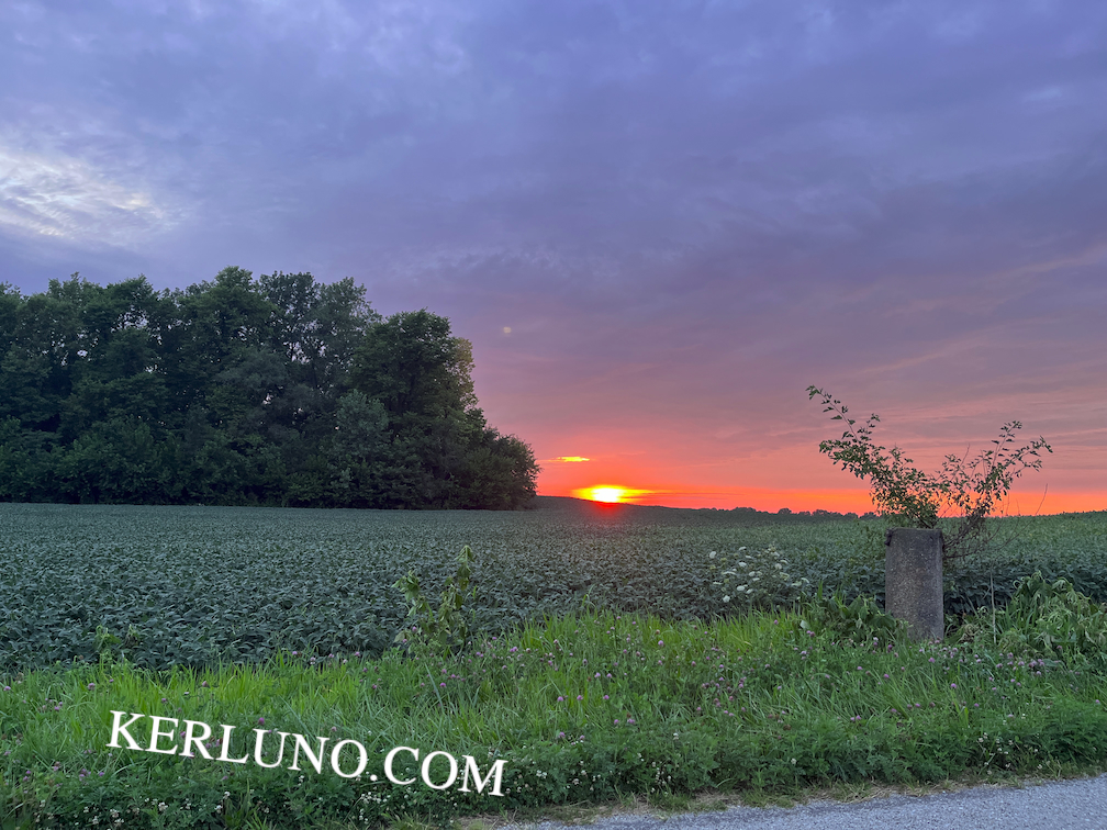 Orange-colored sky with the sunset and a patch of trees to the left.