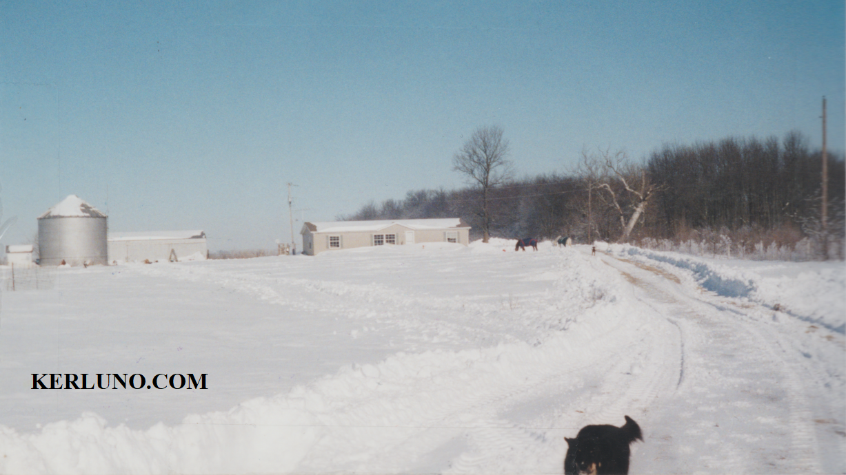 House in background of yard of tall snow.