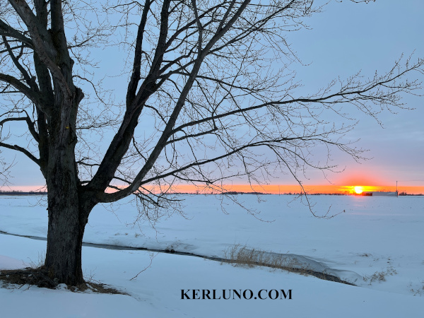 Sunset over a snowy field, with a leafless tree in the front left.